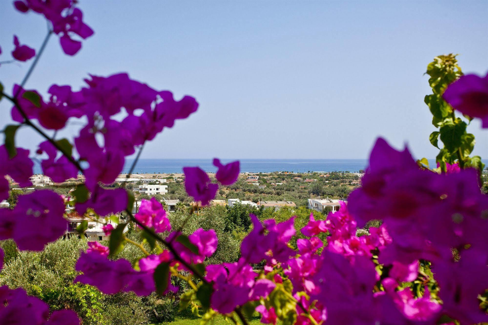 Iris Hotel Afándu Kültér fotó